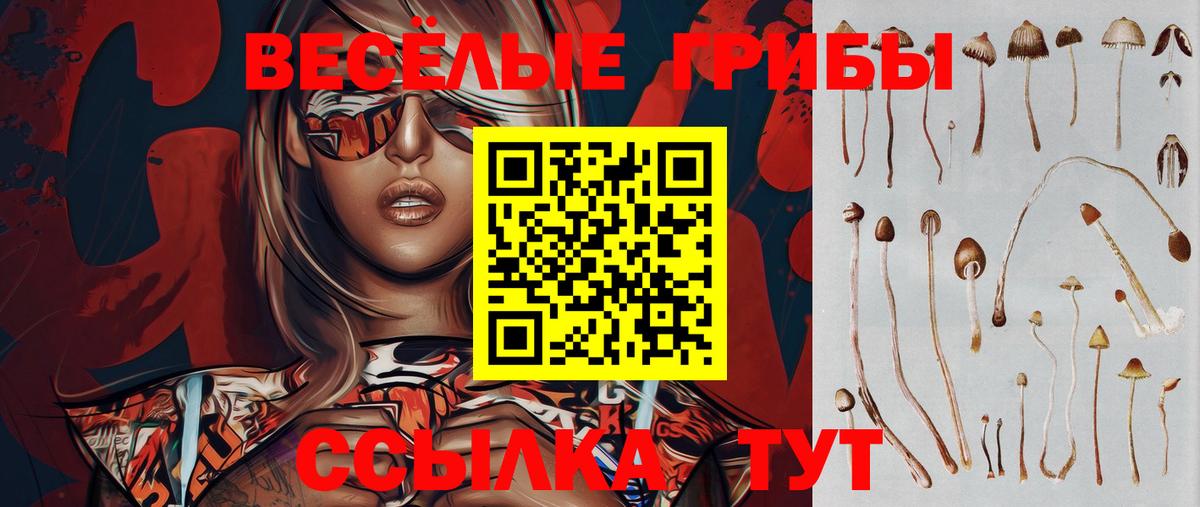 Галлюциногенные грибы MAGIC MUSHROOMS  Вход с VPN  Тосно 