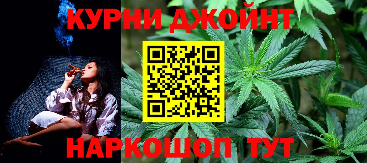 Конопля сатива Тосно